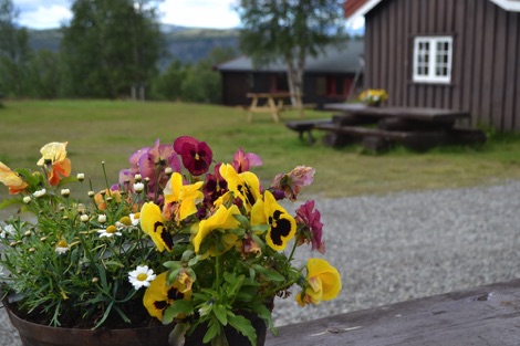 Putten Seter, Rondane